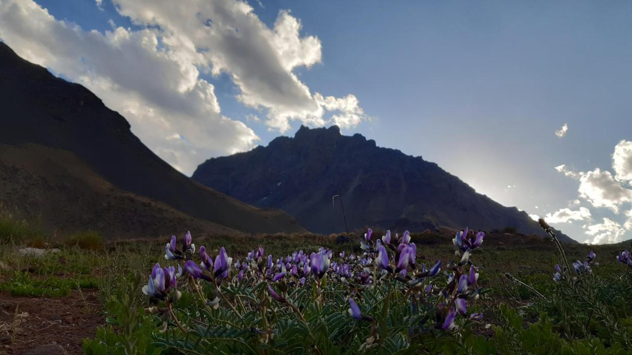 Hospedaje Lenas Del Tolosa Las Cuevas  Exteriör bild